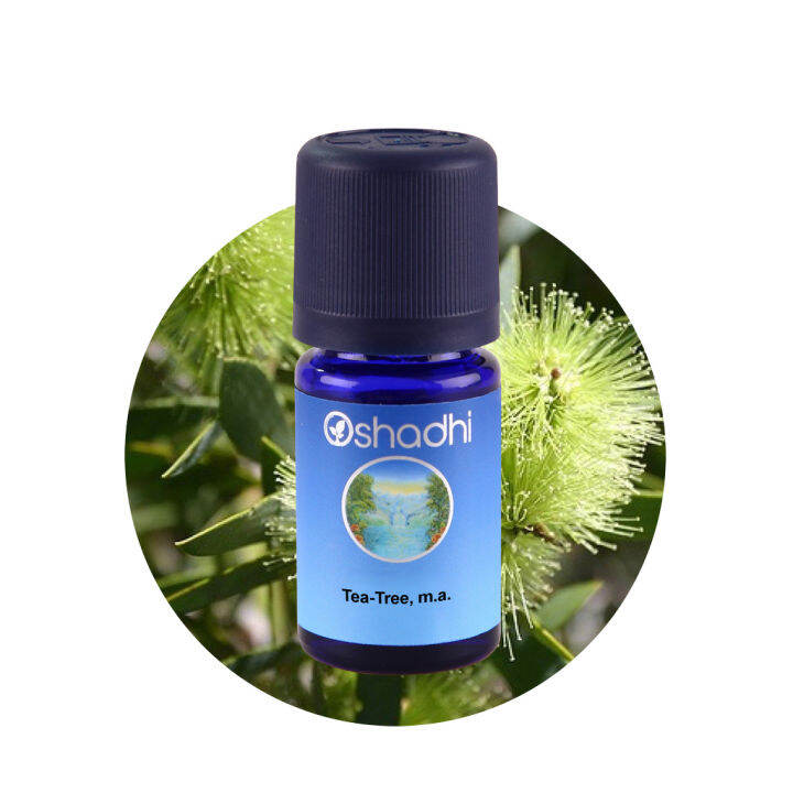 oshadhi-น้ำมันหอมระเหยทีทรี-tea-tree-m-a-essential-oil-น้ำมันหอมระเหย-10-ml