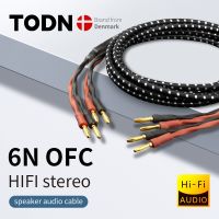 【YF】 TODN HIFI speaker audio cable High-end stereo Amplifier High purity oxygen-free copper banana Gold-plated plug a pair