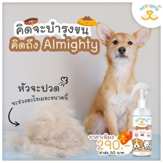 almighty-น้ำมันปลาแซลมอน-บำรุงผิวหนังและขน-สำหรับสัตว์เลี้ยงแสนรัก