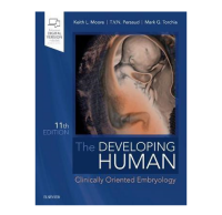 The Developing Human: Clinically Oriented Embryology, 11ed -STD - ISBN : 9780323611541 - Meditext