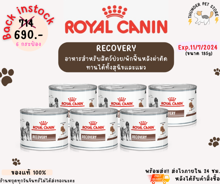 6กระป๋อง-recovery-royal-canin-อาหารสำหรับสัตว์ป่วย-พักฟื้นหลังผ่าตัด