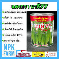 แตงกวา นาคี77 ขนาด 100 กรัม เมล็ดพันธุ์ แตงกวา ลอตใหม่ ผลสีเขียวเข้ม ขึ้นค้างเก่ง ผลดกสวย  เนื้อหนา หวานกรอบ ผลยาว 13 ซม. ขายง่าย อายุ 29 วัน