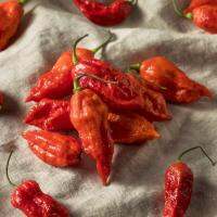 เมล็ดพันธุ์ พริกบุตโจโลเกีย (Bhut Jolokia Pepper Seed) บรรจุ 20 เมล็ด  คุณภาพดี ราคาถูก ของแท้ 100%