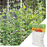 Garden Plant Climbing Net Fence Trellis Netting Support Climbing Creeper Tool