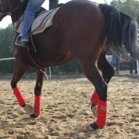 4pcs Soft Fleece Equestrian Leg Wraps Bandage For Horse Riding Racing Accessories Equipment 300x11cm