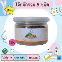 โจ๊กผักรวม5ชนิด ผสมปลาแซลม่อน และสาหร่ายทะเล 120g (9m+) อาหารเด็ก บ้านรยา(BAANRAYA) 
 อาหารสำหรับเด็ก(RAYA)