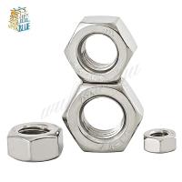 2-10Pcs M3 M4 M5 M6 M8 M10 M12 M14 M16 Pitch 0.35 0.5 0.75 1 1.25 1.5mm 304 A2-70 Stainless Steel Fine Thread Hex Hexagon Nut