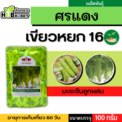 ศรแดง 🇹🇭 มะระจีนลูกผสม เขียวหยก 16 F1 ขนาดบรรจุ 100 กรัม อายุเก็บเกี่ยว 60 วัน