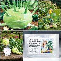 เมล็ดพันธุ์ กะหล่ำ ปมยักษ์  Superschmelz Giant White Kohlrabi Seed 200 เมล็ด คุณภาพดี ราคาถูก ของแท้ 100%