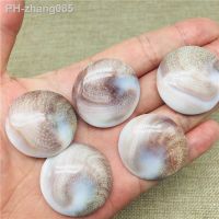 5pcs Natural Sun shell fossil Fossil circular Specimen Crystal Love Heart Reiki