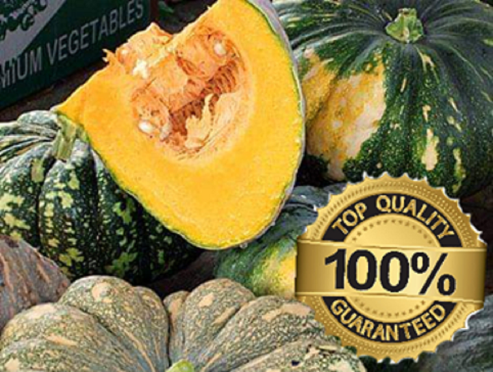 Kalabasa Squash Seed`s Malagkit Lazada Ph