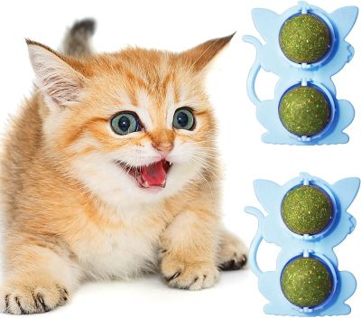 Double Ball Healthy For Teeth Cleaning Energy Ball Toy Wall Catnip Ball Toy For Cats Edible Cat Nip Ball