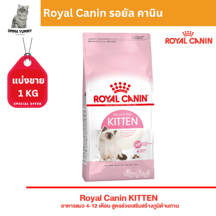 royal-canin-รอยัล-คานิน-อาหารแมว-แบ่งขาย1กิโลกรัม-อาหารแมวพรีเมียม-อาหารแมว-อาหารแมวแบบเม็ด