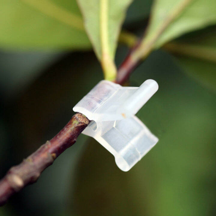 100pcs Plant Grafting Clips Reusable Protection Grafting Fixing Tool