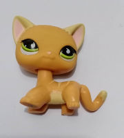 ฟิคเกอร์ เพ็ท ช็อป Littlest Pet Shop (LPS) แมว ช็อทแฮร์ Short Hair สีส้ม ตาหยดน้ำ