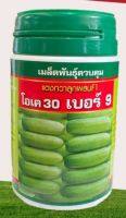 เมล็ดพันธุ์ แตงกวา แตงกวาลูกผสม โอเค30 เบอร์9 (100g)❗หมดอายุ  พ.ย.2567❗