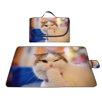 Cat Print Portable Large Outdoor Picnic Blankets Foldable Oxford Picnic Mat for Beach Party Travel Camping Lawn Music Festival Sleeping Pads