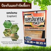 แคปแทน (captan) 1kg. สารป้องกันกำจัดโรคพืชจากเชื้อรา กำจัดโรคพืช โรคใบจุด โรคใบไหม้ แอนแทรคโนส โรคราสนิม ราแป้ง โรคราน้ำค้าง