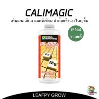 CALiMAGic General Hydroponic เพิ่มแคลเซียม แมคนีเซียม ลำต้นแข็งแรงใหญ่ขึ้น  ขนาด 1L ขวดแท้