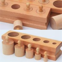 Wooden Toys Puzzle Montessori Educational Cylinder Socket Toy Childern Development Practice Senses Puzzle Math Brain Teaser Kids Wooden Toys