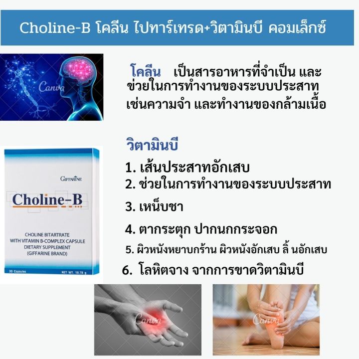 ส่งฟรี-วิตามินบีรวม-โคลิน-บี-2-กล่อง-อาหารเสริม-กิฟฟารีน-giffarine-วิตามินรวม-vitamin-ชา-มือ-วิตามินบี-วิตามิน-บำรุง-สมอง-กิฟฟารีน-ของแท้