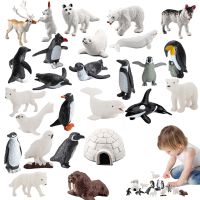 Simulation Arctic Animals Figures Penguins North Pole Bear Dolphin Action Figurines Collection Model Toys For Children Gifts