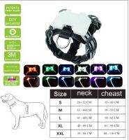 CC Simon unique style paws safety led dog pet light up collar night Puppy Lead Pets Vest