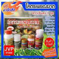 ***ส่งฟรี*** ชุดปราบวัชพืชร้ายในนาข้าว โคตรเพชฌฆาต เก็บทุกหญ้าฆ่าทุกวัชพืชในนาข้าวตายเรียบ