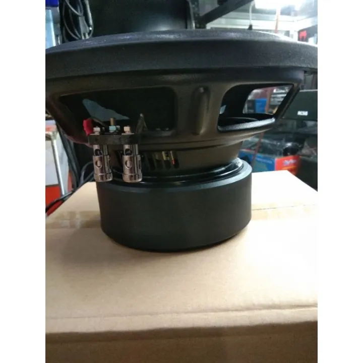 TEAM LIGHTNING LAB WB10D2 300WATTS RMS 600WATTS MAX POWER Lazada PH