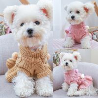 Autumn Winter Warm Pet Ball Wool Skirt Outdoor Cat Dog Clothes Stylish Durable Dog Dress Household Pet Supplies for Chihuahua Dresses