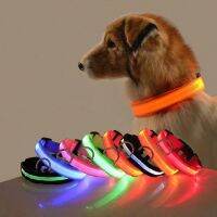 USB Charging LED Dog Collar Dog Safety Night Light Flashing Necklace Fluorescent Collars Pet Supplies