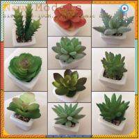 ✔️✔️Cactus 5x5x8-12CM แคคตัส ต้นไม้เสมือนจริง ต้นไม้ปลอมที่เหมือนจริง ต้นกระบองเพชร[instock]กระถางเหลี่ยมเข้ากลางเดือนกย สินค้ามีจำนวนจำกัด