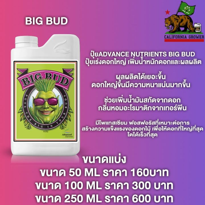 big-bud-ปุ๋ยadvanced-nutrients-ปุ๋ยเร่งดอกใหญ่-เพิ่มน้ำหนักดอกและผลผลิต-ขนาด-50-100-250ml-ปุ๋ยนอก-ของแท้100-ปุ๋ยusa