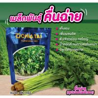 (โปร++) เมล็ดพันธุ์คื่นฉ่ายซุปเปอร์โพธิ์ทอง ขนาด 400 กรัม ส่วนลด เมล็ดพันธุ์ พันธุ์ข้าว เมล็ดหญ้า เมล็ดข้าวโพด