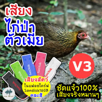 เสียงไก่ป่าตัวเมีย V.3 เมม/แฟลชไดร์ฟเสียงไก่ป่าตัวเมีย V.3 มีเก็บเงินปลายทาง ชัดแจ๋ว 100% ไม่มีโฆษณาแทรก (MP3 เสียงต่อสัตว์)