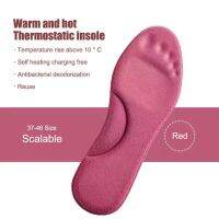 Self Heated Insole Sweat Absorption Self-heating Shoe Pads Unisex Feet Warm Sock Pad Insert Sport Shoes Massage Feet Care Pads Shoes Accessories