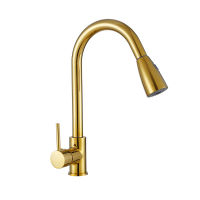 AUSWIND Gold Kitchen Faucet Pull-type Kitchen Sink Faucet Hot and Cold Household escopic Splash-proof Faucet