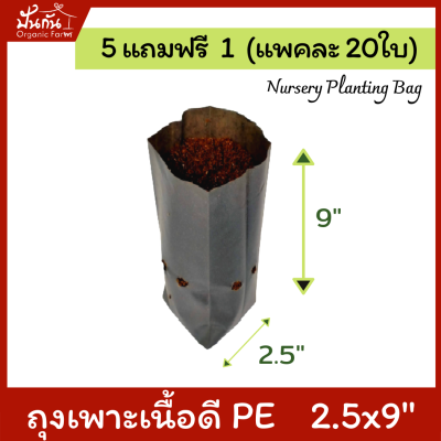 [5แถมฟรี1] ถุงปลูกต้นไม้ 2.5x9" ถุงเพาะชำ ถุงเพาะสีดำ เจาะรู แพคละ20ใบ [สั่ง5แพค แถมอีก1แพค] [Nursery Planting Bag] เนื้อ PE เหนียว ทน อายุใช้งาน 1.5 ปี