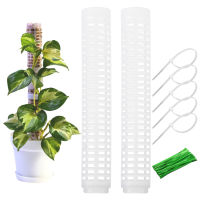 2Pcs พลาสติกปีนเขา Plant Pole Water Moss Stick Plant Growth Support การกักเก็บน้ำ Coconut Palm Stick