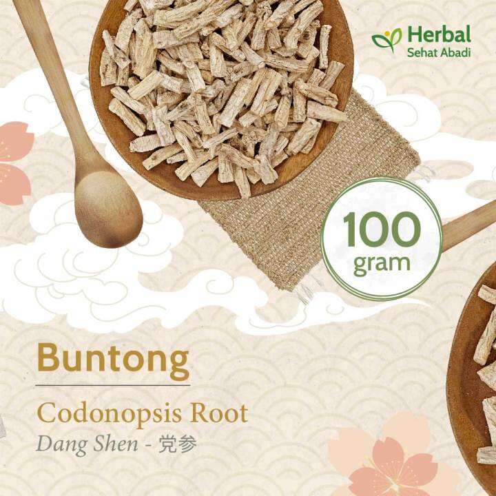 Tong Sem 100 gram / Dang Shen (党参) / Tong Sim / Codonopsis Root