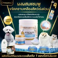 Pinkpawpal ผงขจัดคราบเหลือง เชื้อรา BLING BLING POWDER มีให้เลือก 2 ขนาด