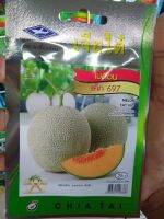 เมล็ดพันธุ์ เมล่อน แค็ท 697 melon cat 697 เปลือกเขียว ลายตาข่าย เนื้อส้ม ดูแลน้อย ต้นแข็งแรง ปลูกง่าย น้ำหนักดี ผลผลิตสูง ทนโรค