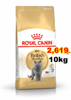 Royal canin british shorthair 10 kg อาหาร สำหรับแมวโต พันธุ์ บริติช ชอร์ตแฮร์ 10 กก.Exp:09/2024