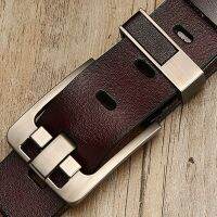 [DWTS]belt male leather belt men male genuine leather strap luxury pin buckle belts for men belt Cummerbunds ceinture homme Belts