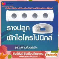 รางปลูกผักไฮโดรโปนิกส์แบบน้ำนิ่ง ยาว 60 ซม. 4 ช่องปลูก by hydroponicgroup