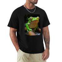 Giant Monkey Frog T-Shirt Cat Shirts Plain T-Shirt Sweat Shirts, Men