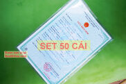 A4 SET SỈ 50 túi nhựa dẻo đựng giấy tờ khổ A4 giấy khai sinh, kết hôn, hợp