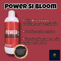 Power Si Bloom V.2 ครบเครื่องเรื่องเสริมดอก (Organic)