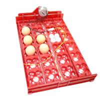 DIY 96 Eggs Bird Incubator Egg Rack Tray automatic 24 Egg Incubator Quail Parrot Incubation Tool Size 43 x 28 cm