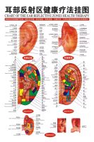 แผนภูมิจุดหูแบบกดจุดหูแบบมาตรฐานขนาด40*60ซม. แผ่นนวดฝังเข็มจีนและอังกฤษแผ่น Gratis Ongkir แผนภูมิฝังเข็ม